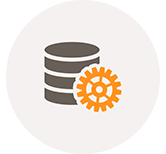 Database Development